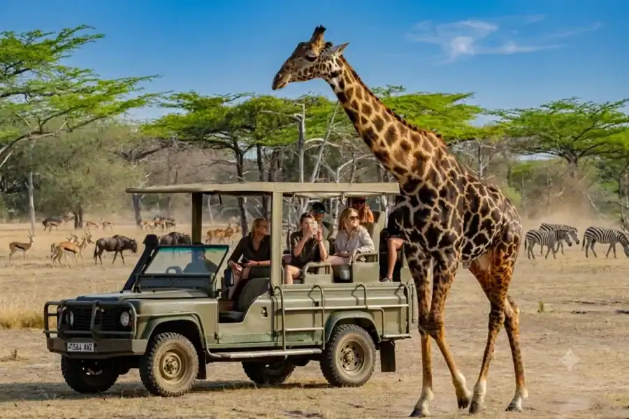 🕓Dar es Salaam : 3 Days Enjoy Mikumi Private Wildlife Safari