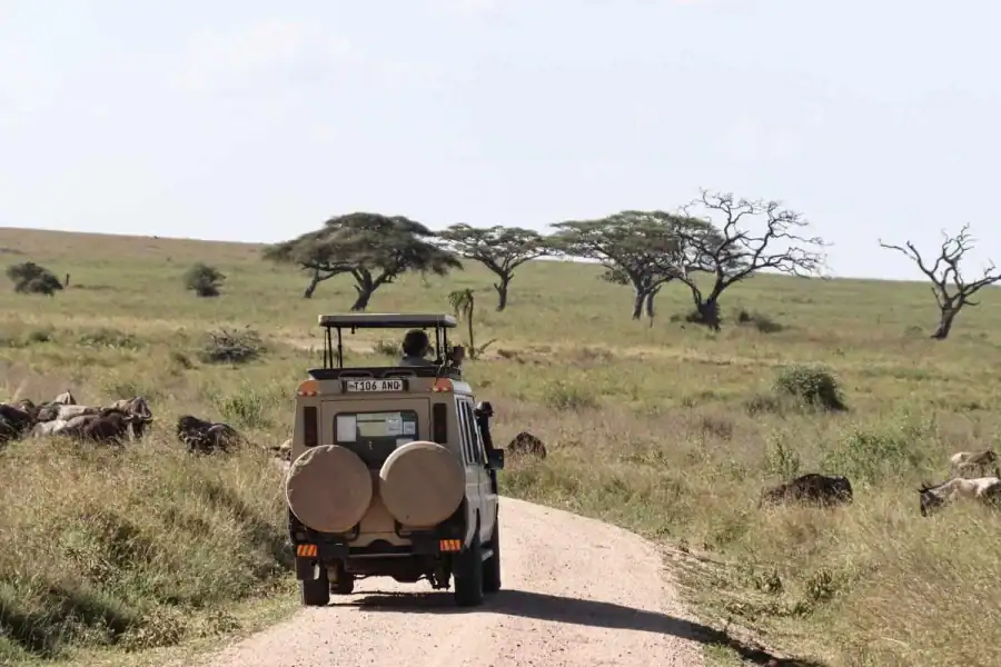🕓Dar es Salaam: Mikumi National Park Safari with Train Ride