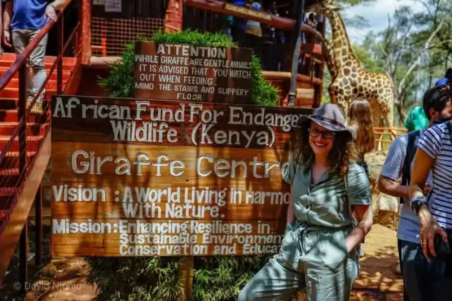 🚸David Sheldrick Wildlife Trust & Giraffe Center With Lunch