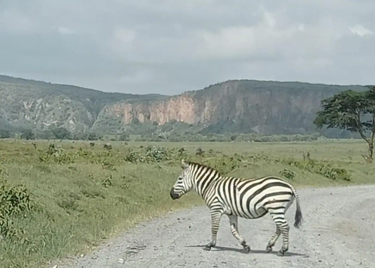 🕓DAY TOUR- LAKE NAIVASHA AND HELL'S GATE PARK-WITH PARK FEES
