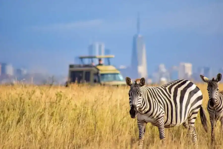 🚸Day Tour To Giraffe Center, Baby Elephant And Nairobi Park