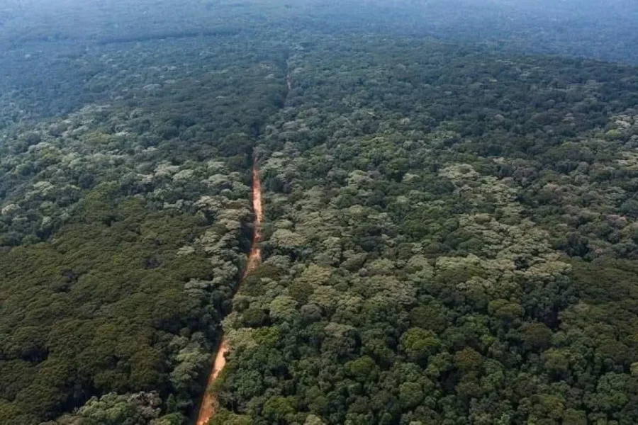 🕓Day tour to Kakamega Rainforest from Kisumu