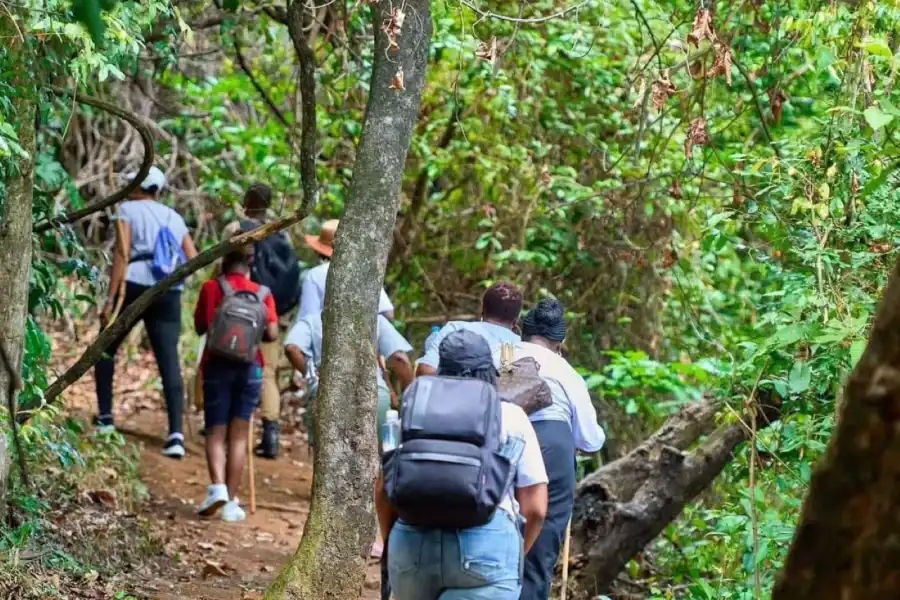 🕓Day Tour to Pugu Kazimzumbwi Forest& Minaki Dam Boat Ride
