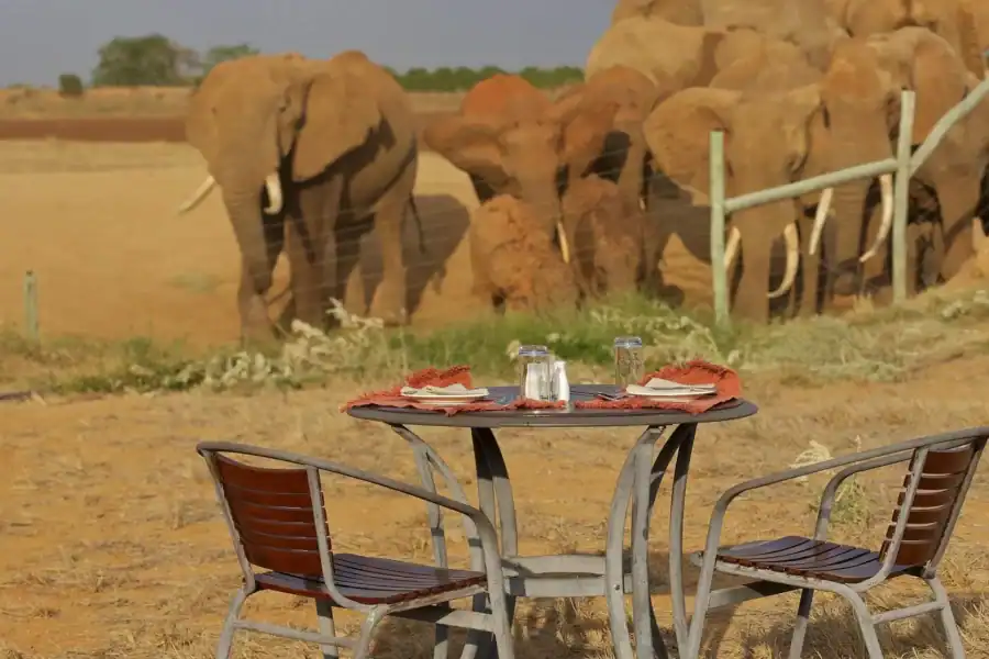 🕓Diani Beach: 2-Day Tsavo East Safari with Game Drives