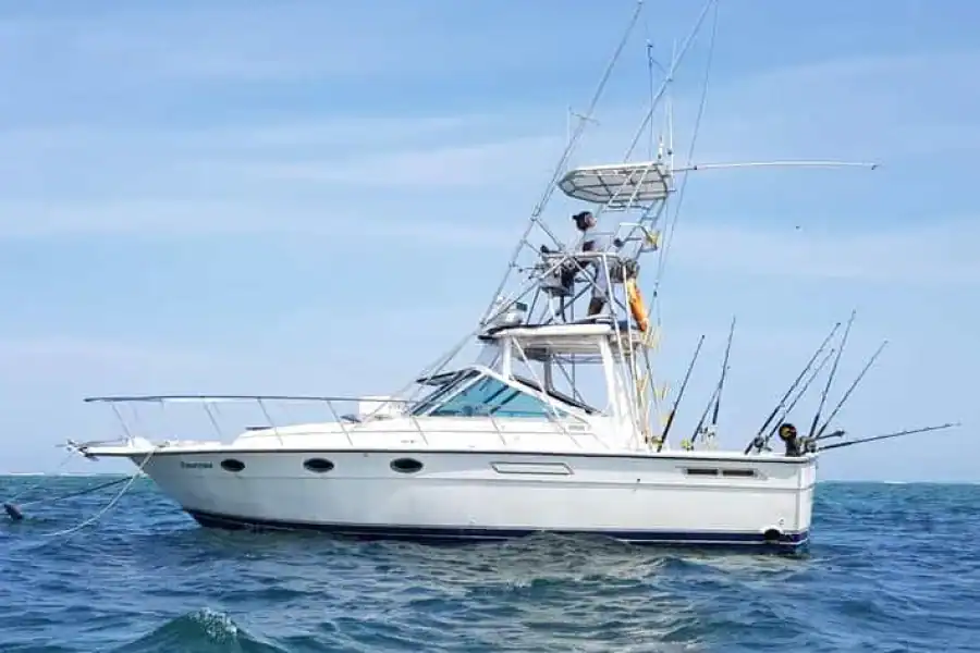 🚸Diani Beach: Deep Sea Diving