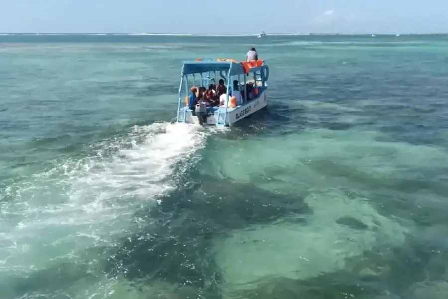 🕓Diani Beach: Glass Boat Cruise to Robinson Island