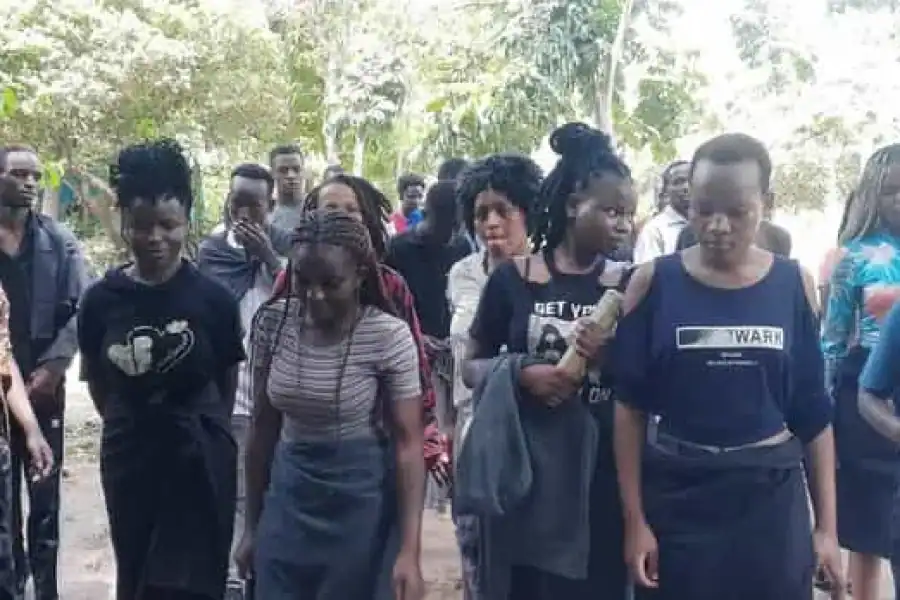 🚸Diani Beach: Kaya Kinondo Cultural And Nature Experience