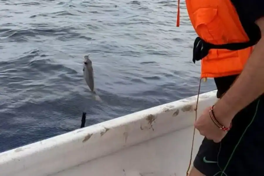 🕓Diani: Sea to Table Fishing Experience with local fishermen