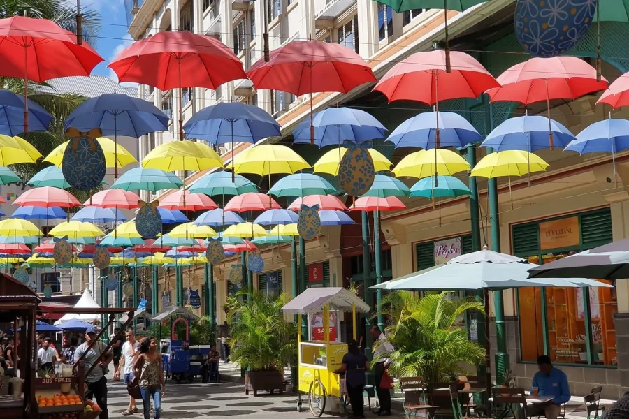🕓Discover Mauritius Full Day with Your Personal Driver-Guide