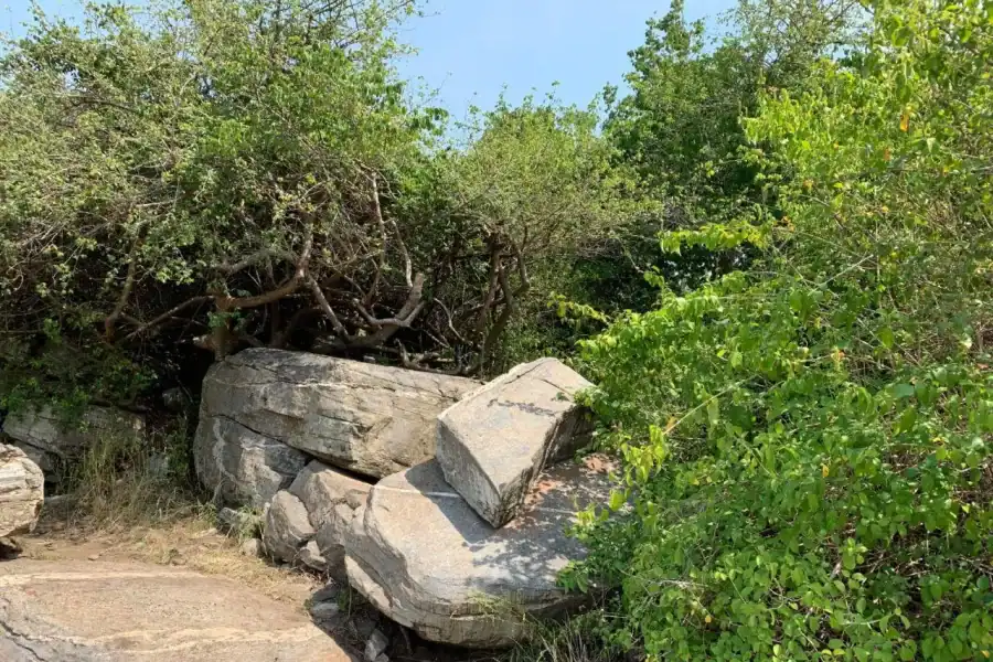 🕓Discover Nature at Shai Hills – Adventure Full Day Trip