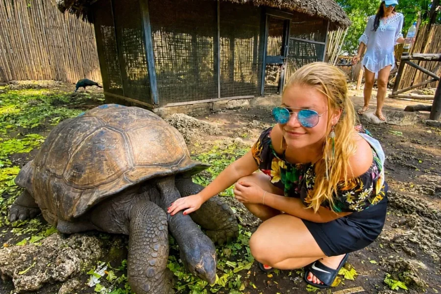 🕓Discover Prison Island: Tortoises& Timeless Stories