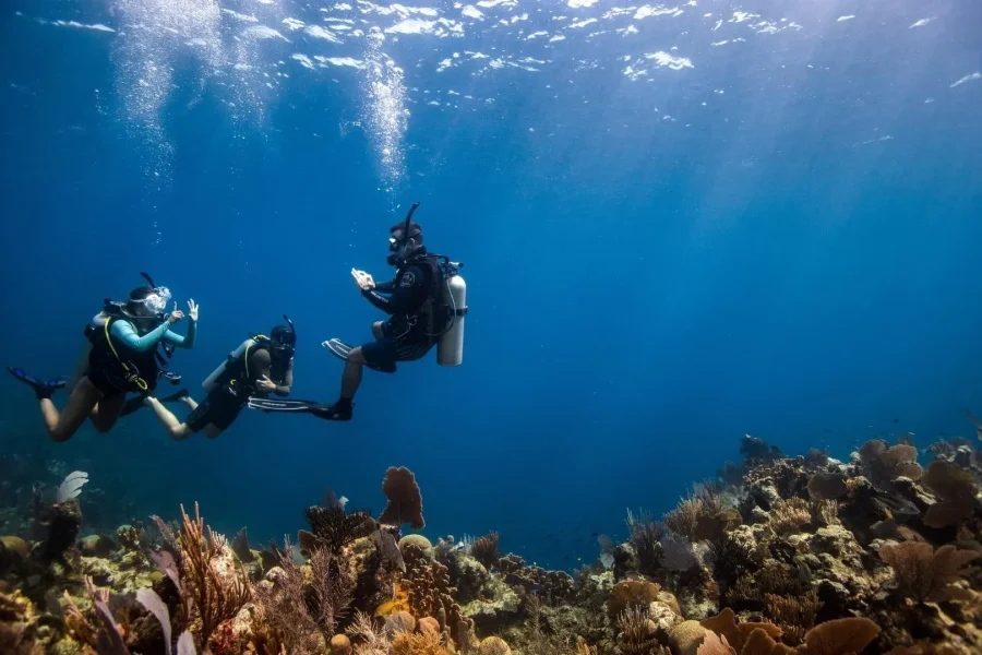 🕓DISCOVER SCUBA DIVING IN LEMORNE with EasydiveMauritius