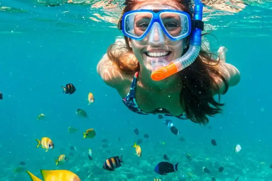🕓Discover Stone Town Tour Snorkeling + Starfish& Sea Turtles