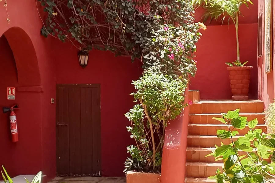 🕓Discover the hidden treasures of Gorée Island and Dakar in one day