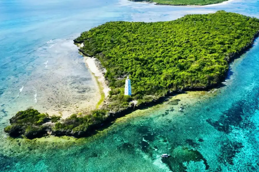 🕓Discover Tumbatu Island: Private Snorkeling Adventure
