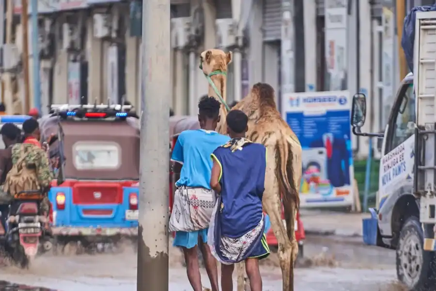 🕓Discovering Somalia: Mogadishu City Adventure