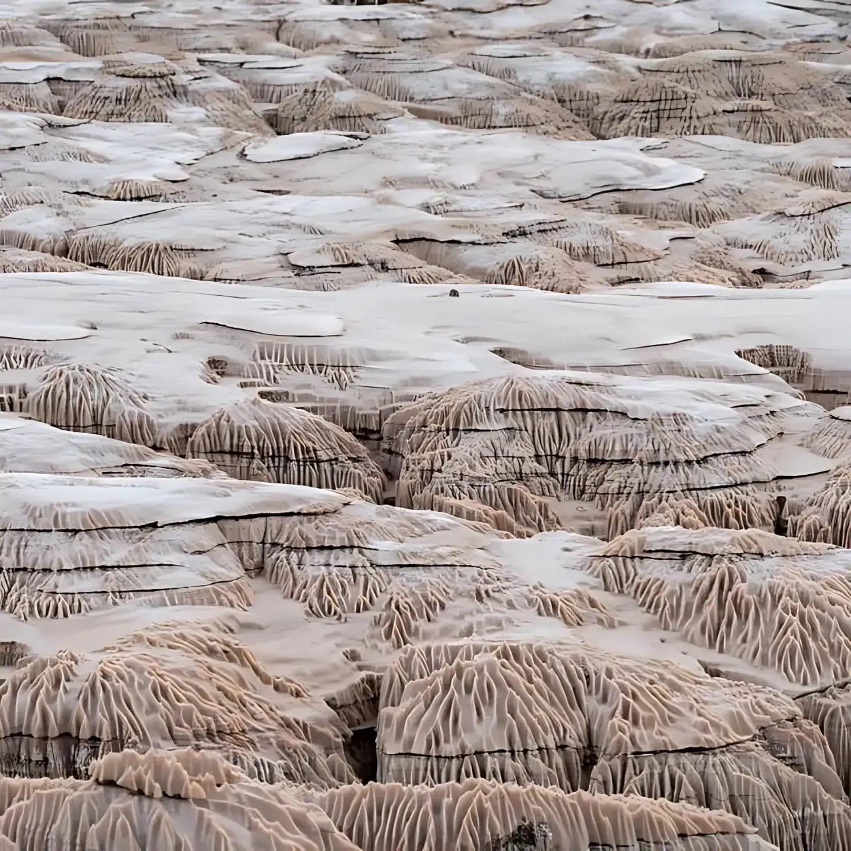 🕓Discovering the Makola Salt Glacier: History in the Heart of the Congo