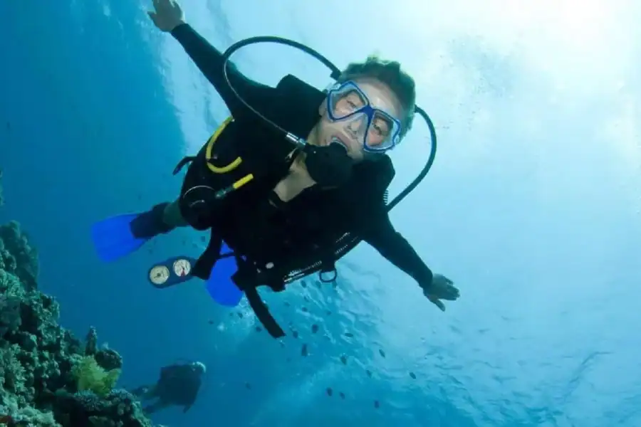 🕓Diving Tour Exploring Alexandria's Underwater Secrets