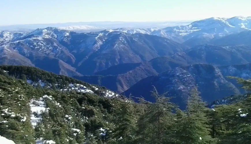 🌵 Chrea National Park (Algeria)