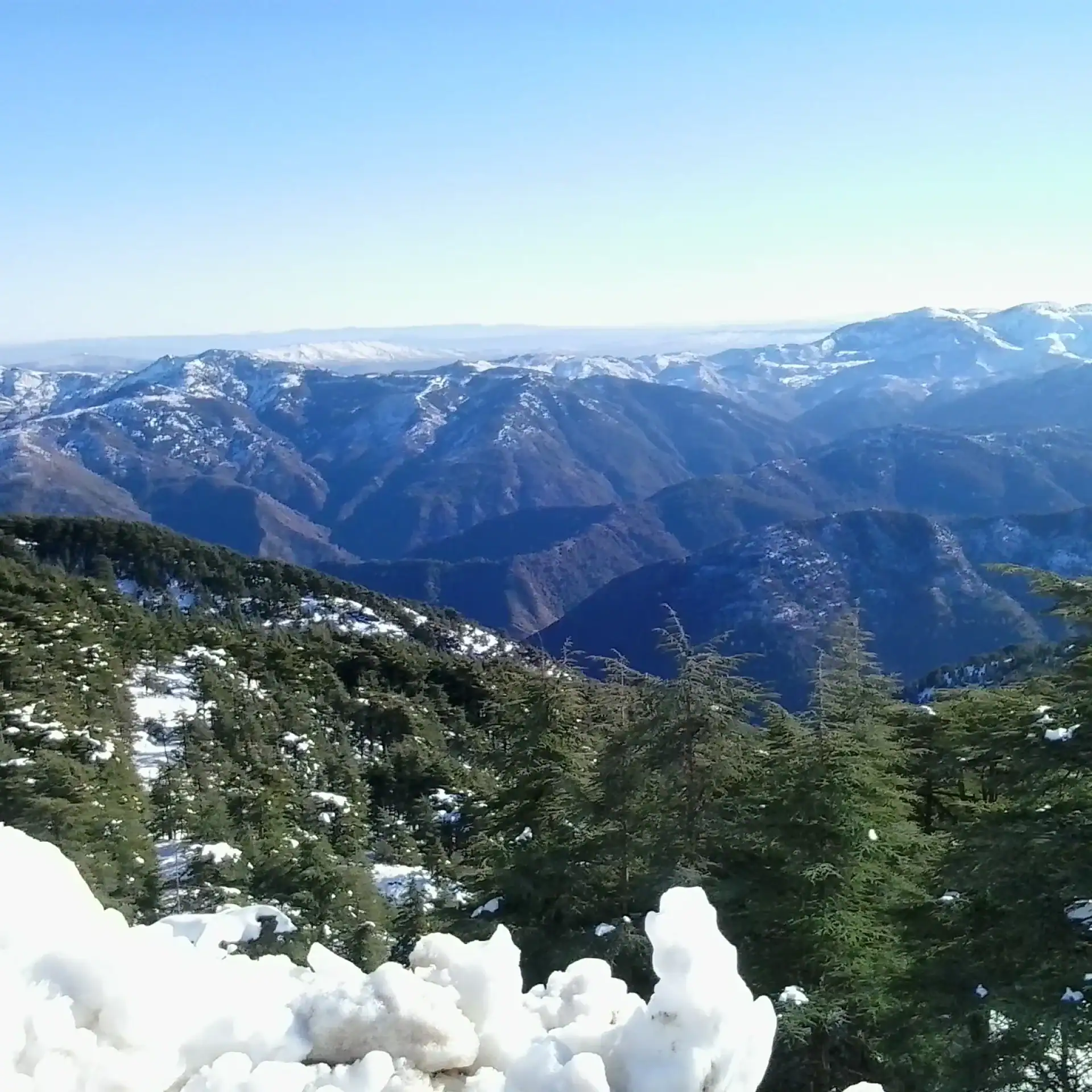 🌵 Chrea National Park (Algeria)