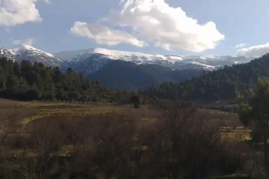 🚶🏽 Hiking the Djebel Chelia (Algeria)