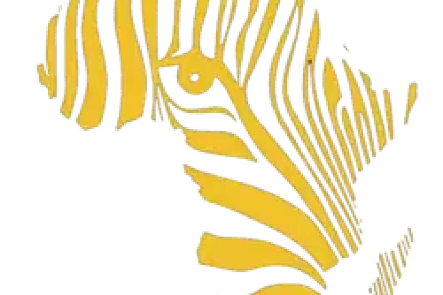 ✨ FestiKinaxixi (Angola)