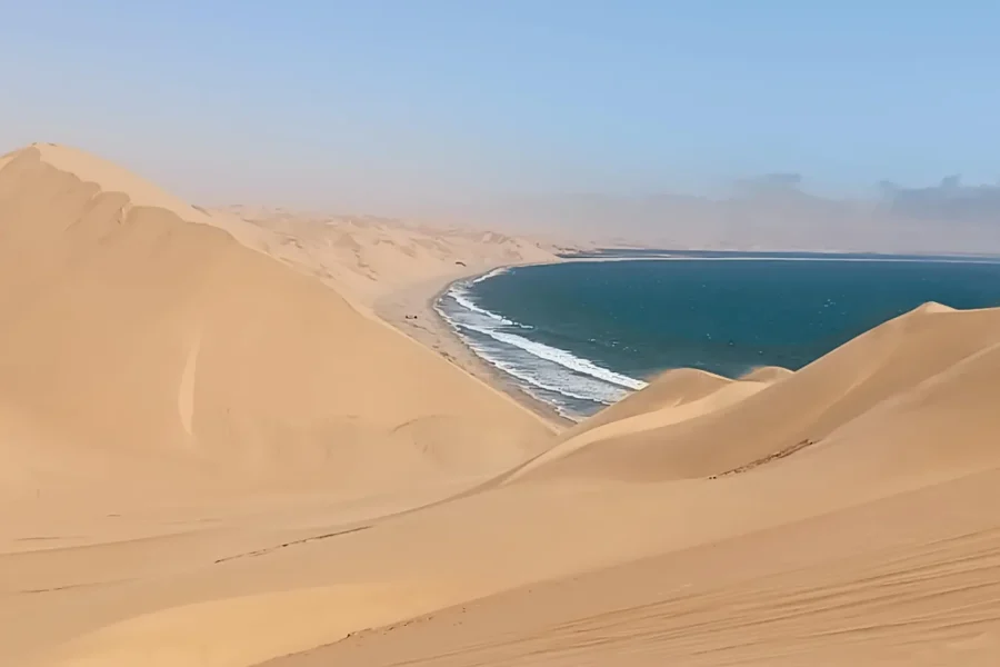 🕓Dolphin& Seal cruise Sandwich harbour dune tour