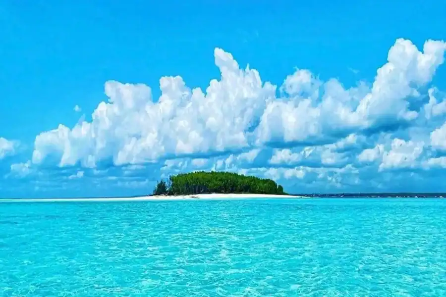 🕓Dolphins& Snorkeling Zanzibar: Mnemba Island Tour