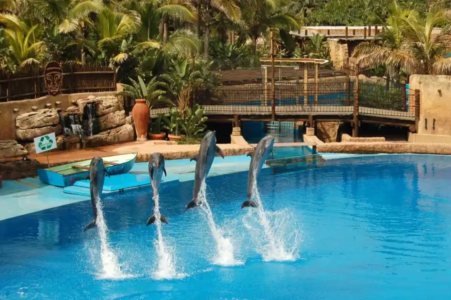 🕓Durban: Full Day Ushaka Marine World Tour