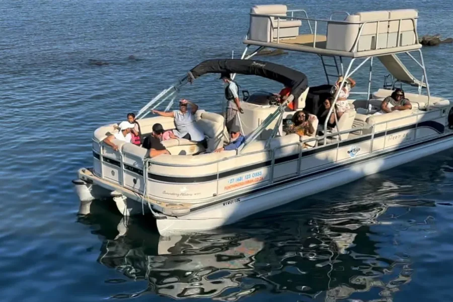 🕓Durban: Pontoon Boat Harbor Cruise