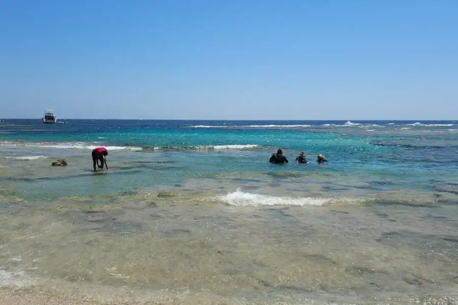 🕓El Quseir: Red Sea Diving – Reefs, Caves& Marine Wildlife
