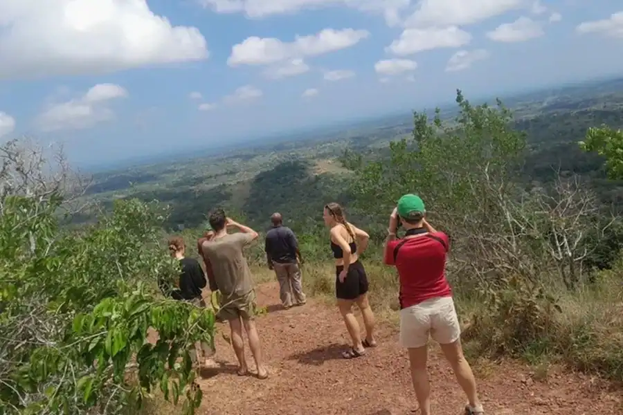 🕓Elky Shimba Hills and Sheldrick Waterfall Day Tour