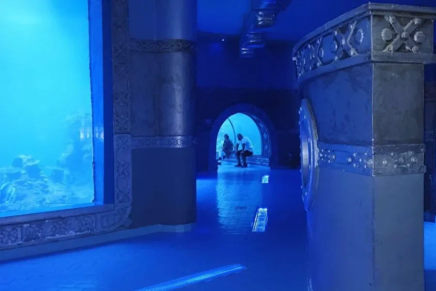 🕓Entry Ticket: Grand Aquarium Hurgada