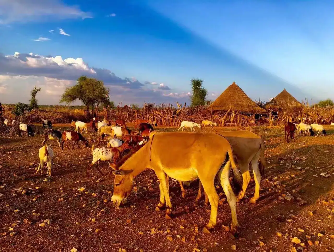 🕓Epic Ethiopia in 12 days: North and Omo Valley Tribal