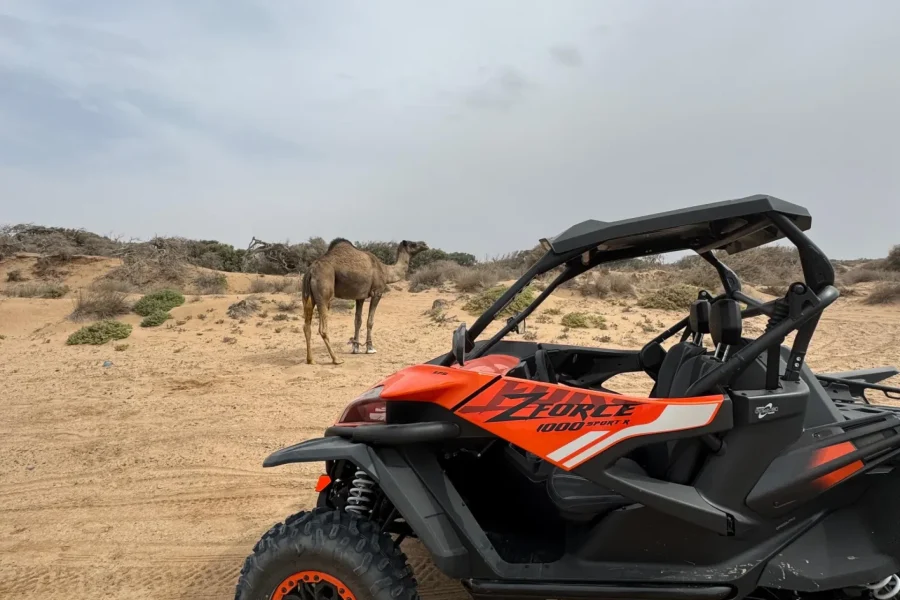 🕓Essaouira: Buggy Tour with Tea Break in Essaouira desert