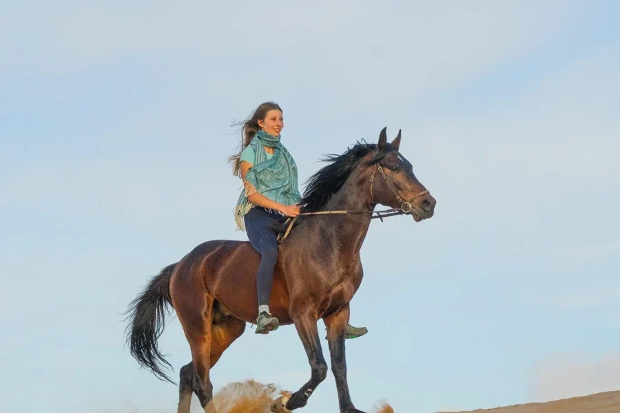 🕓Essaouira: Sunset Horseback Ride with Optional Dinner