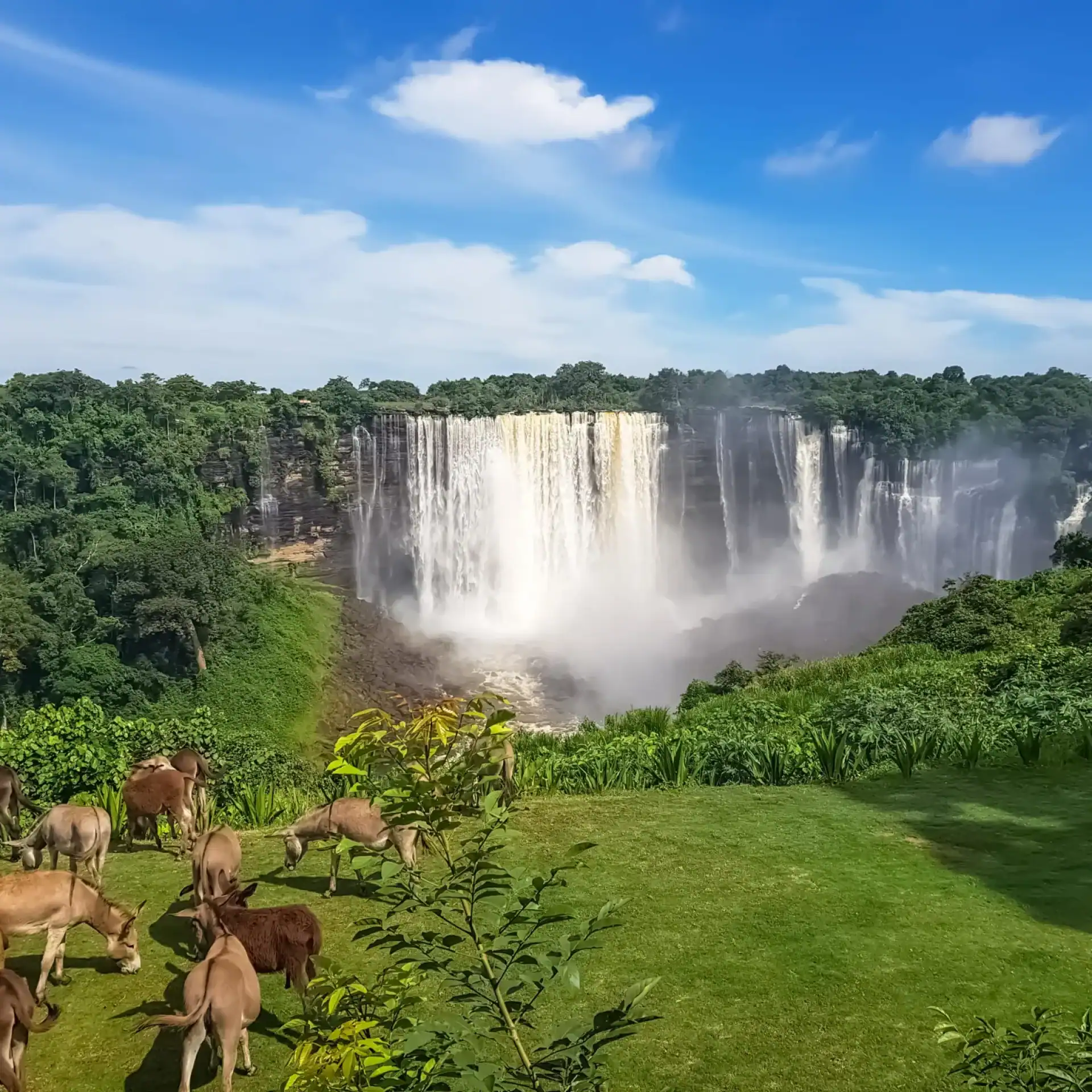 🕓Explore Kalandula Falls on One Night Trip from Luanda