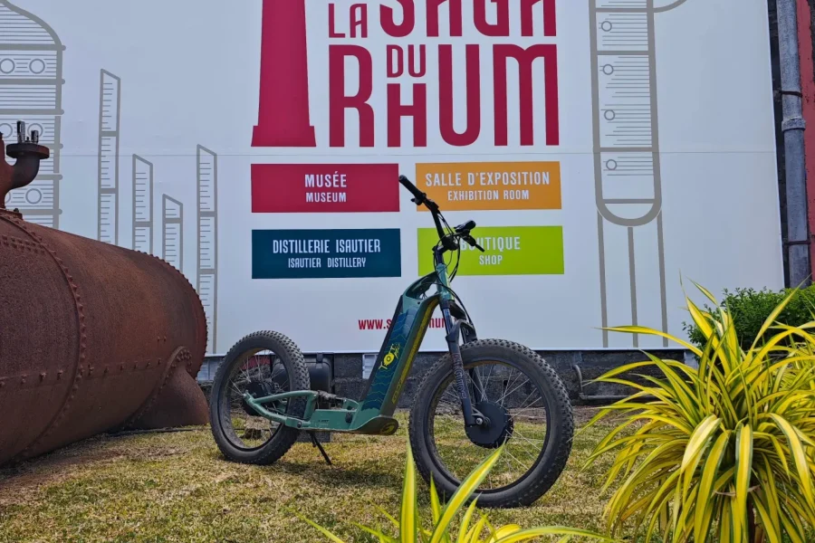 🕓Explore Saint-Pierre on an electric scooter between the reeds and the ocean