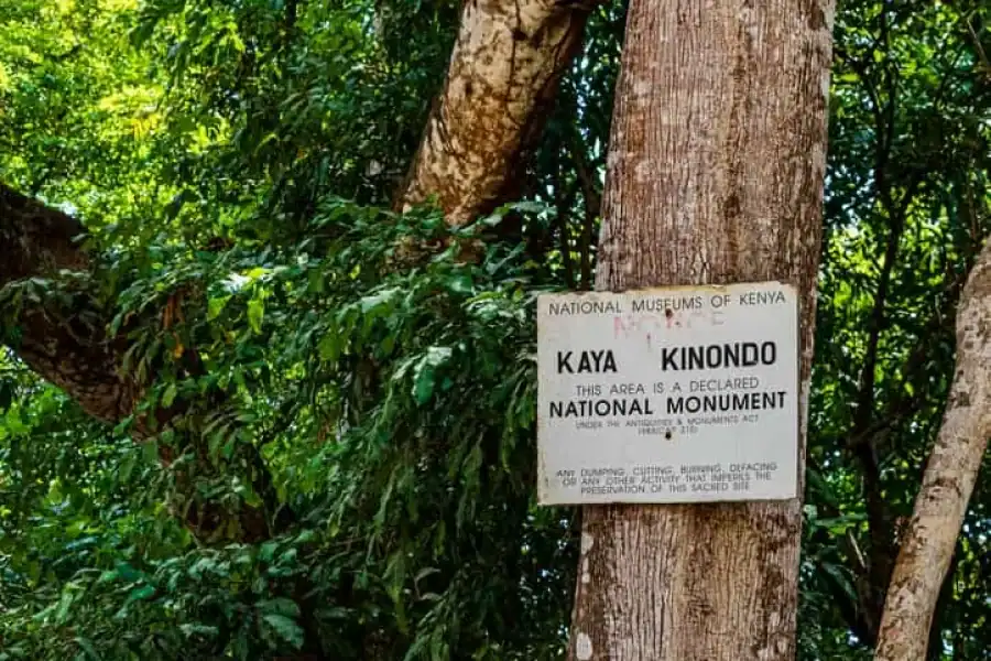 🚸Exploring Nature’s Treasures: A Private Day Trip In Diani