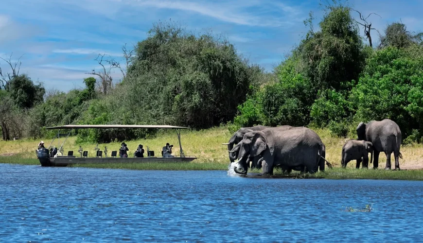 🌵 Chobe National Park (Botswana)