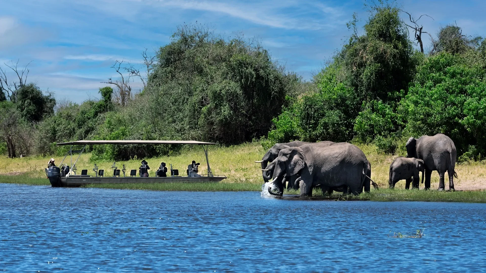 🌵 Chobe National Park (Botswana)