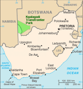 🌵 Kgalagadi Transfrontier Park (South Africa)