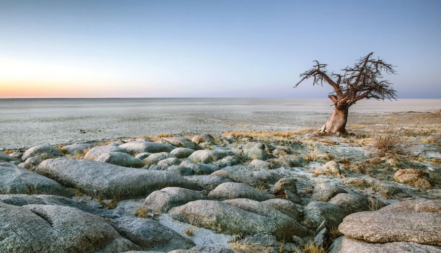 🌵 Makgadikgadi Pans National Park (Botswana)