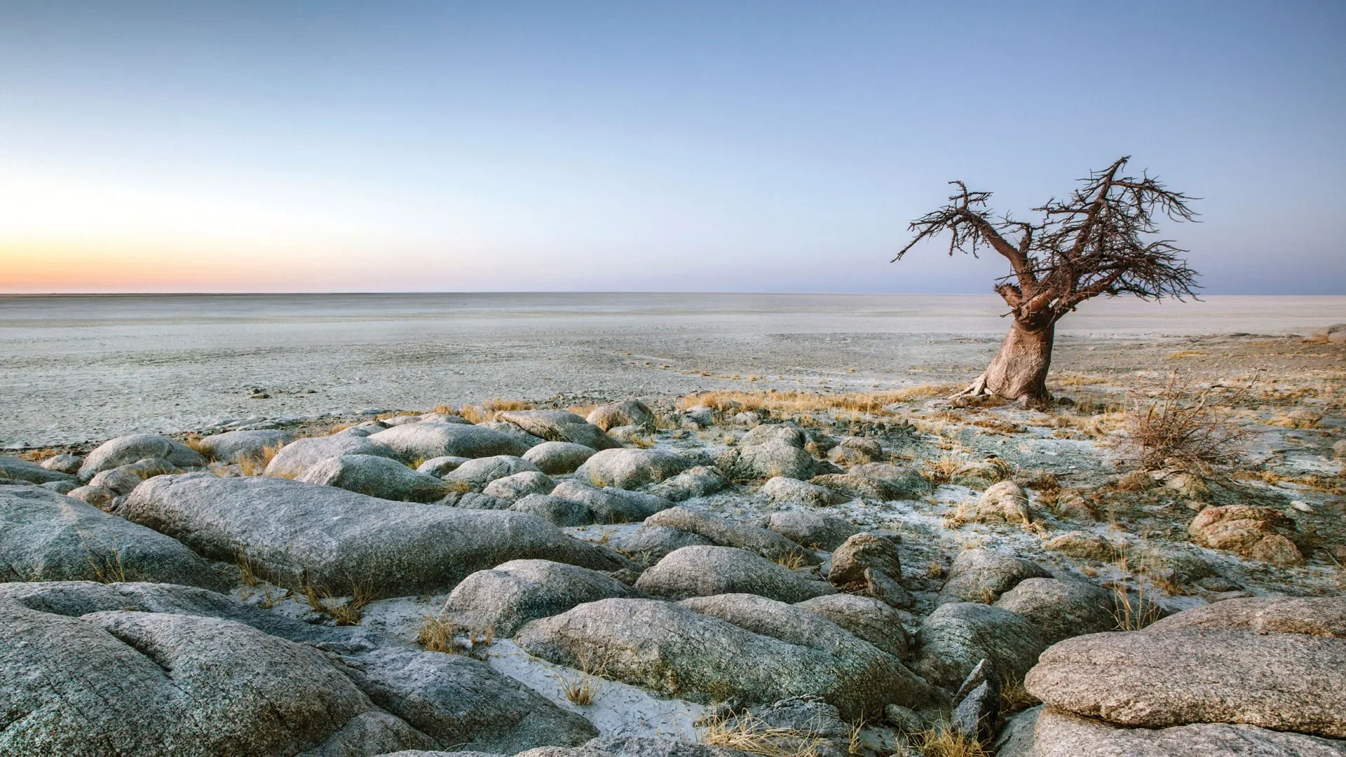 🌵 Makgadikgadi Pans National Park (Botswana)