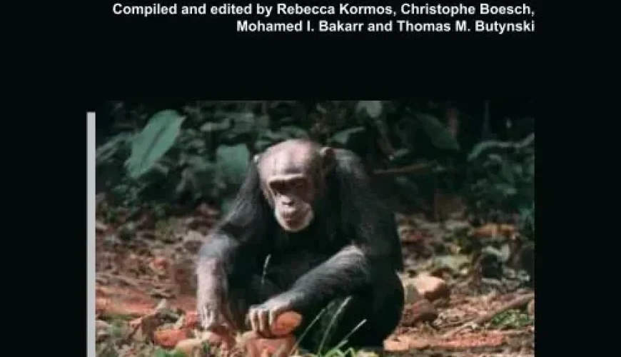 🏠 ⦾ Yeleu (Ivory Coast)