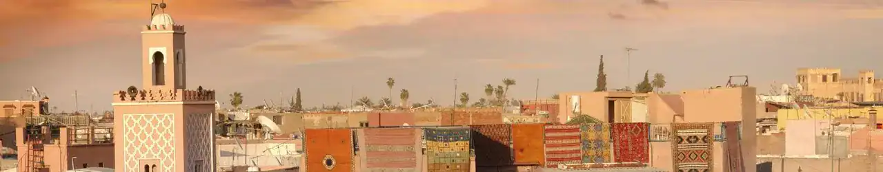 🏵️ Marrakech Morocco (Morocco)