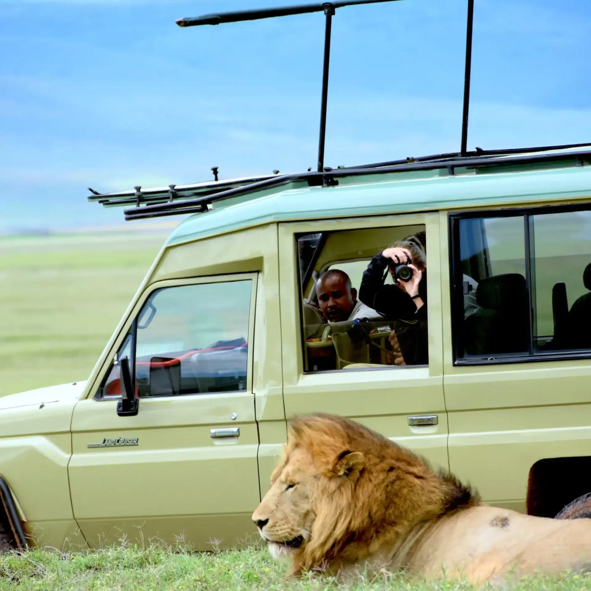 🏵️ Ngorongoro Crater – All You SHOULD Know Before Going (2026 Reviews) (Tanzania)