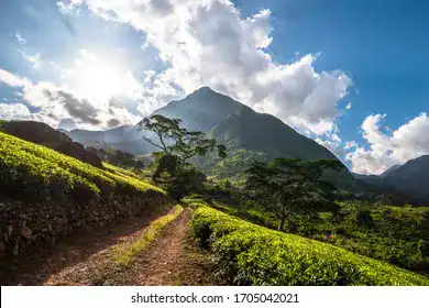 🚶🏽 Hiking the Chikala Hills Trail (Malawi)