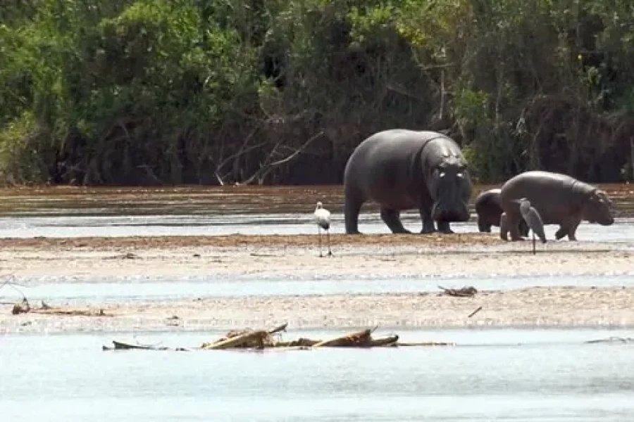 🚶🏽 Hiking the Ruvubu River Trail (Tanzania)