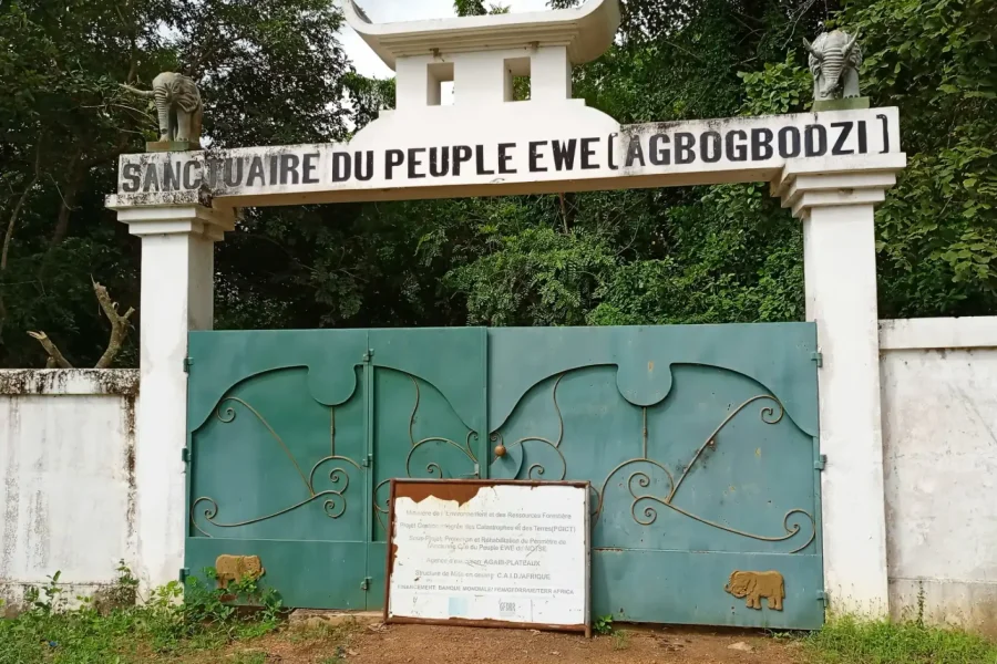 🪇Agbogbozan (Togo)